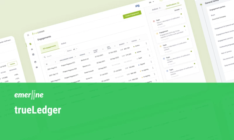 Emerline - Web Platform for Professional Service Management