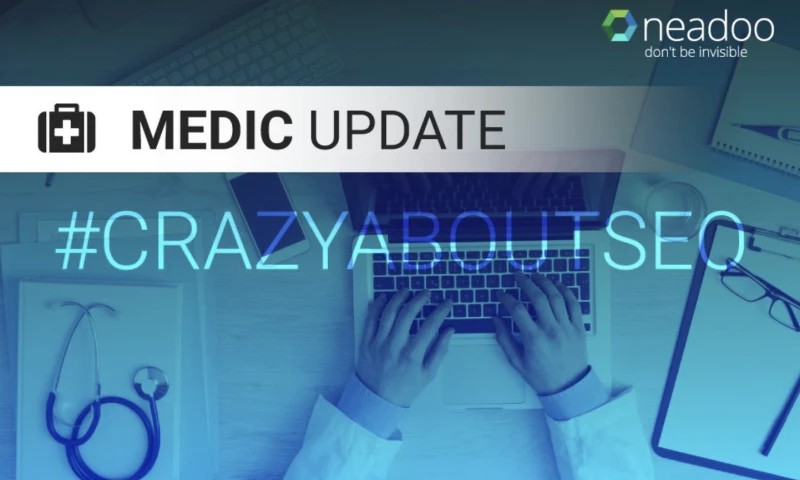 How to deal with another algorithm update?