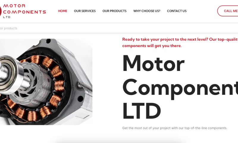 Bazle Dev - Motor Components LTD
