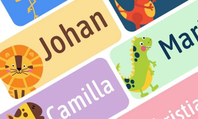 StuntCoders - Smartlapper