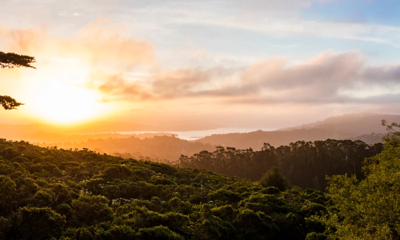 JaxonLabs - Photography