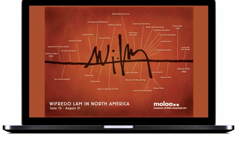 Artful Analytics with MOLAA