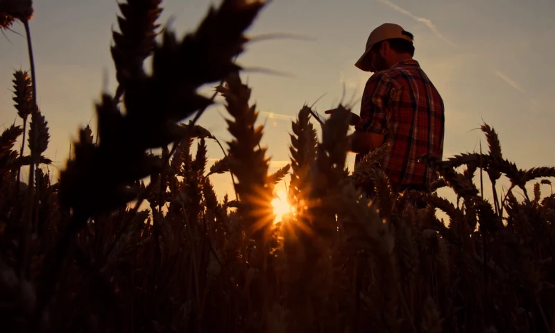 Better Money Decisions for Millennials with Centra Credit Union