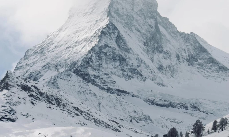 StuntCoders - Fin Trust