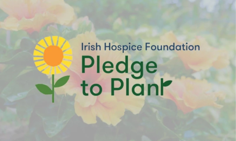Brand You - Pledge to Plant