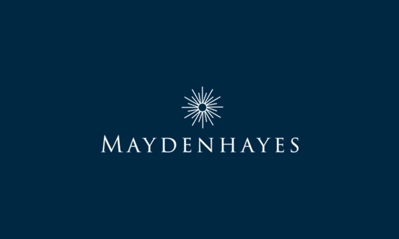 Brand You - Mayden Hayes