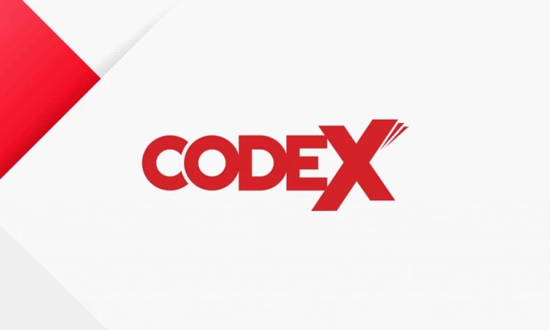 Brand You - Codex