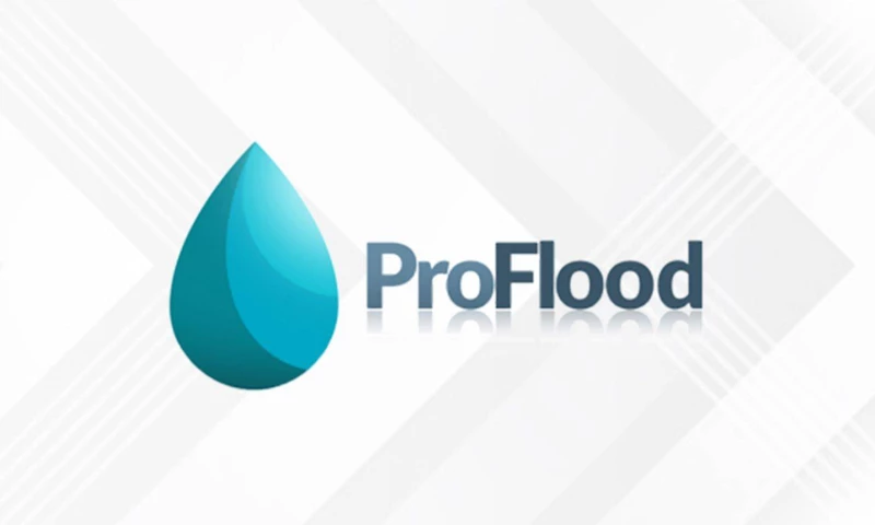 Brand You - Proflood