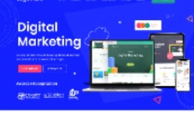 ProByte - Digital Marketing Agency