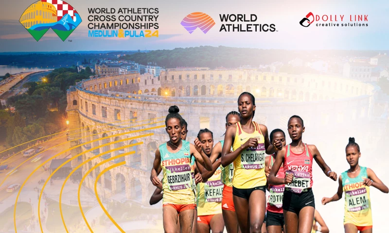 Dolly Link Creative Solutions - Graphic design