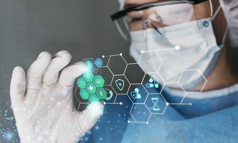 Biosimulation Tool Performing in Silico Experiments