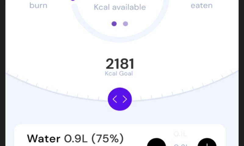 Real-time on-device food recognition