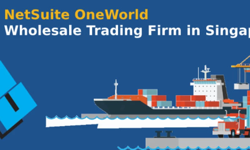 Dhruvsoft Services - NetSuite OneWorld
