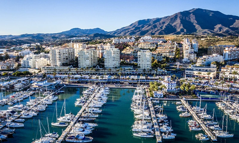 McKenna Townsend - D Marin