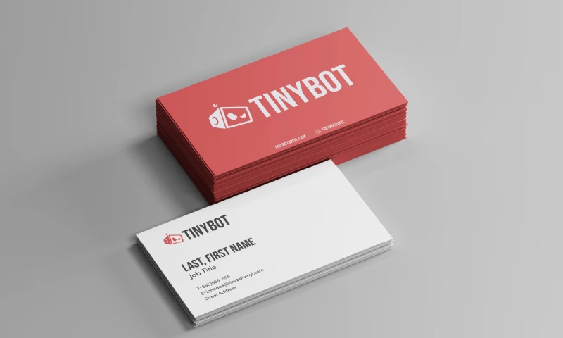 TinyBot Vinyl Brand Identity Redesign