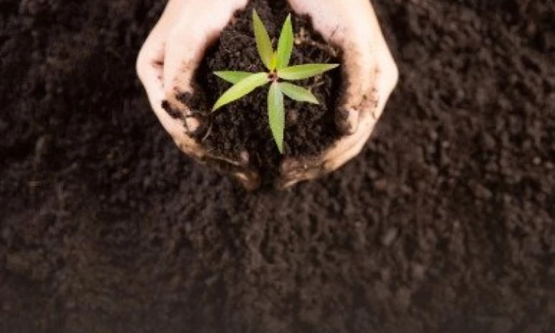 AGRO TRADING PLATFORM