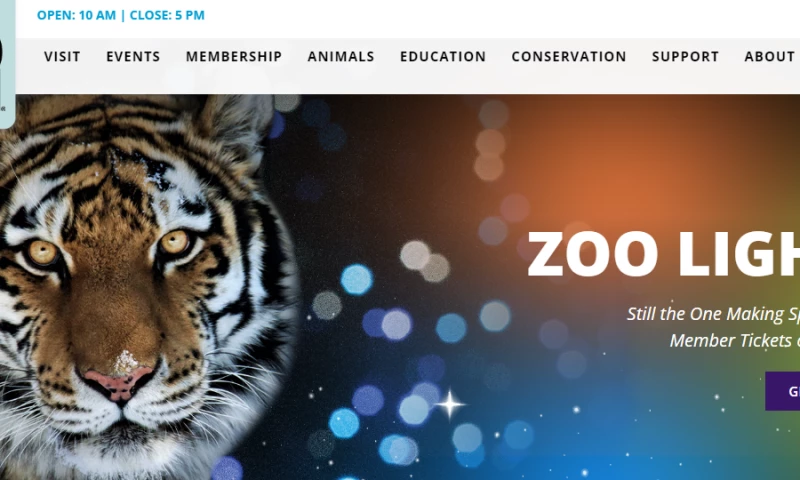DenverZoo - Web Development
