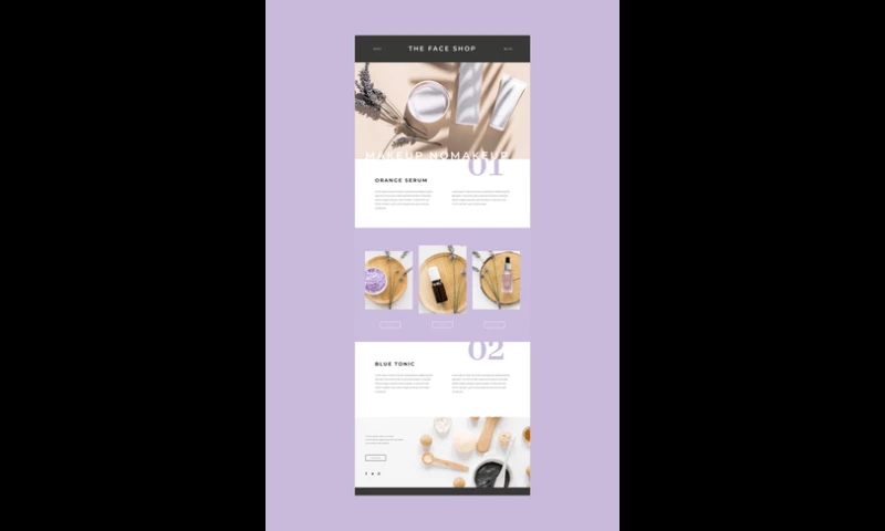 Expert Code Craft - The Face Shop