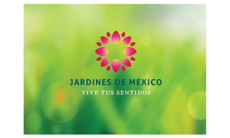 Sol Consultores - Jardines de México