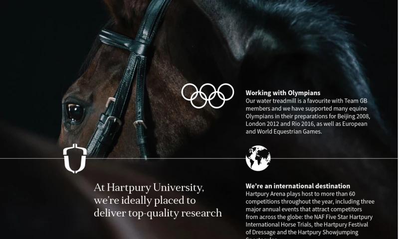 Sophie Chamings Marketing - Finding the right fit - managing and copywriting a B2B brochure