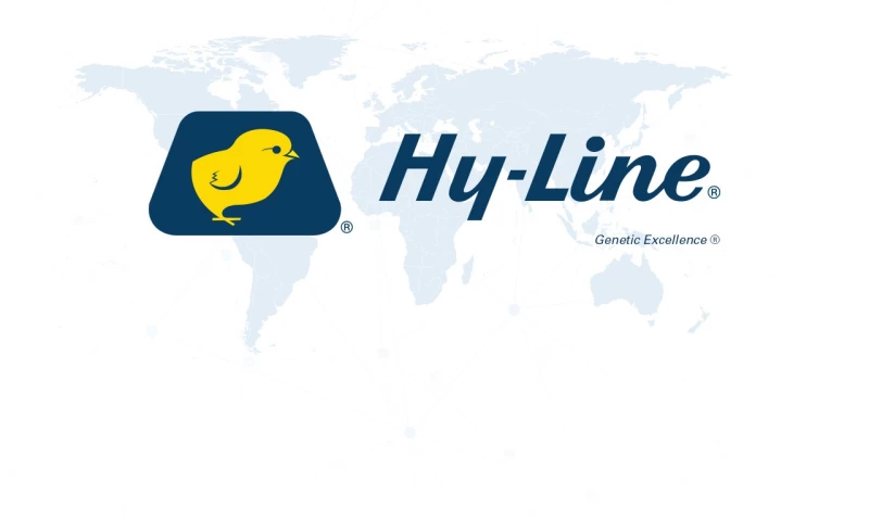 Hyline South Africa