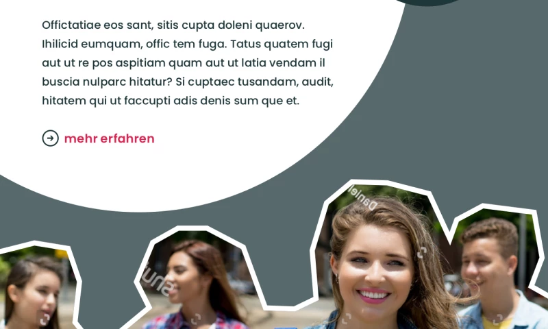 Drela SEO & Webdesign - Responsive Design for business school