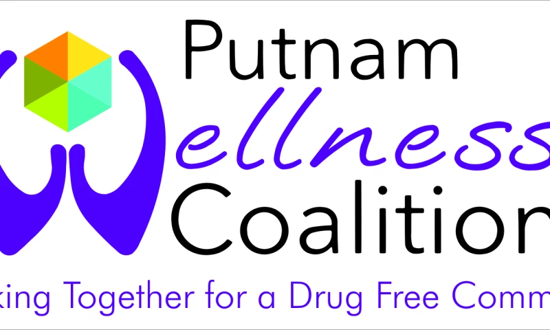 Four V - Putnam Wellness