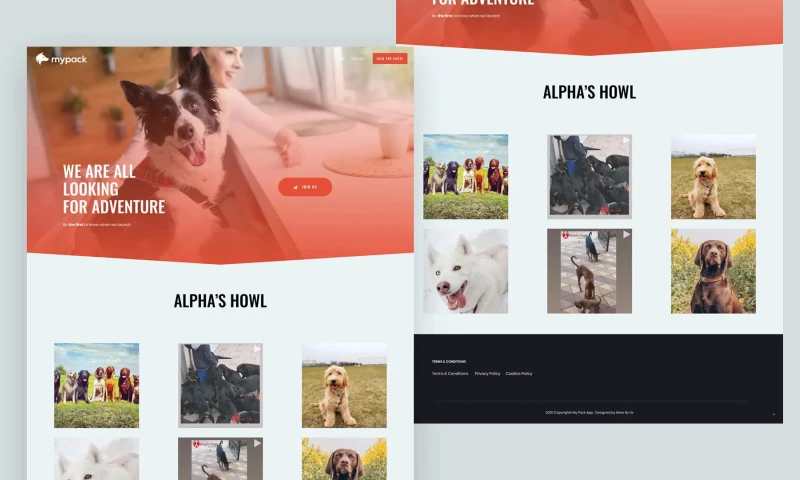 My Pack: Brand Identity