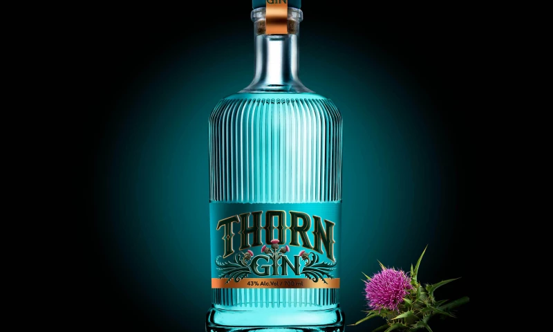 Modern World Studio - THORN GIN