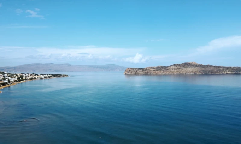 Pixel Cut Media - Freedo Reality Retreats