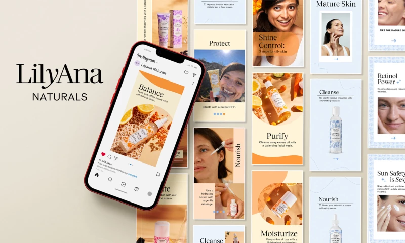 Design Musketeer LLC - LilyAna Naturals