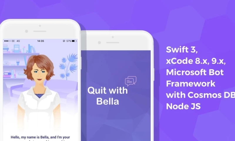 Chatbot and Alexa Skill Development