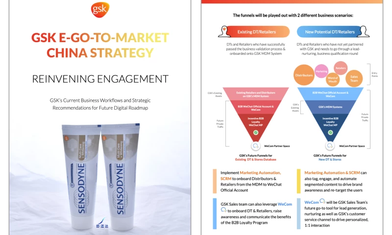 IT Consultis - Accelerate GSKs Go-To-Market & Interative Models