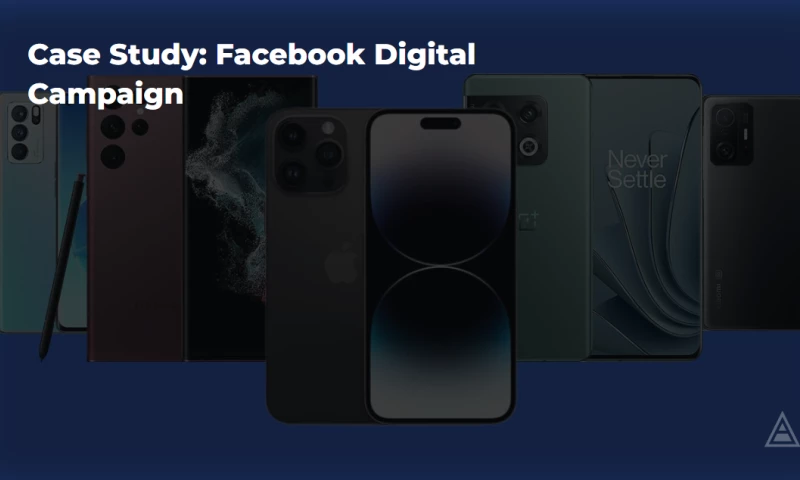 Netpeak USA - Case Study: Facebook Digital Campaign