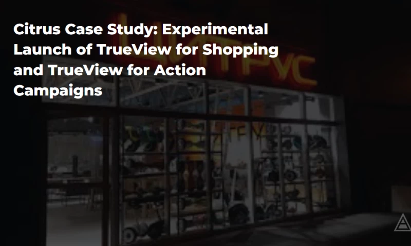 Netpeak USA - Citrus Case Study