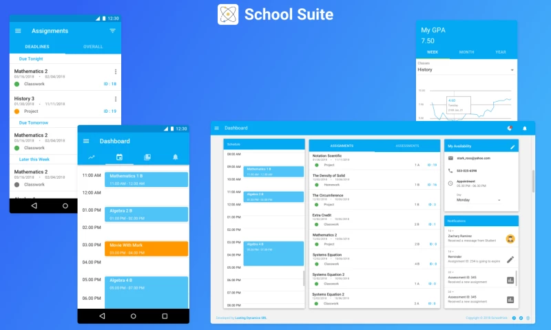 Lasting Dynamics - Schoolthinks