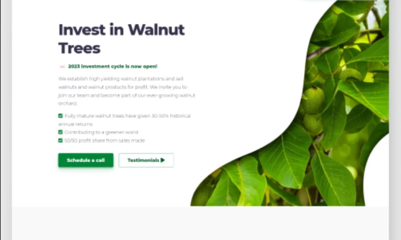 Web application for "The Walnut Fund"