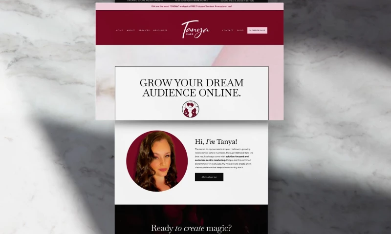 Dream Wild Studio - Tanya Marie