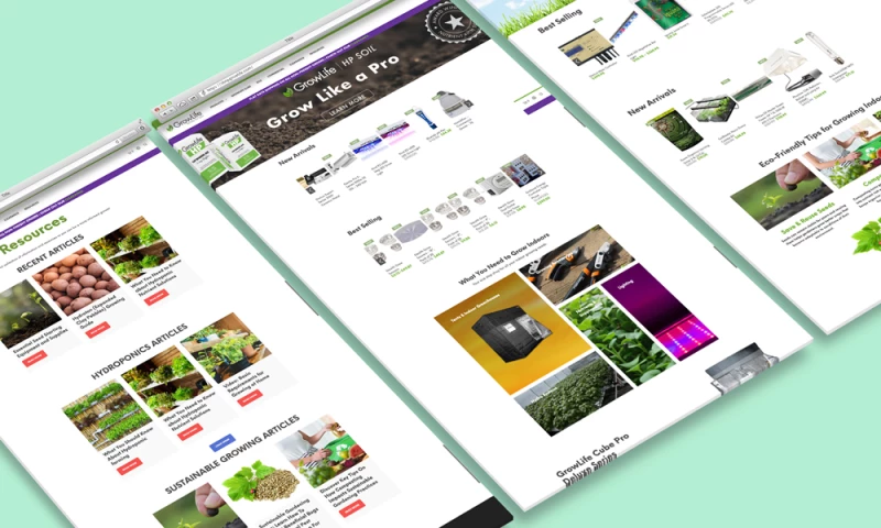 Ahy Consulting - GrowLife Eco