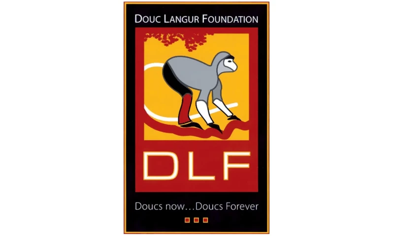 Marco Polo Studios - Interactive 3D Map | Web App | Endangered Red-Shanked Langurs | Conservation