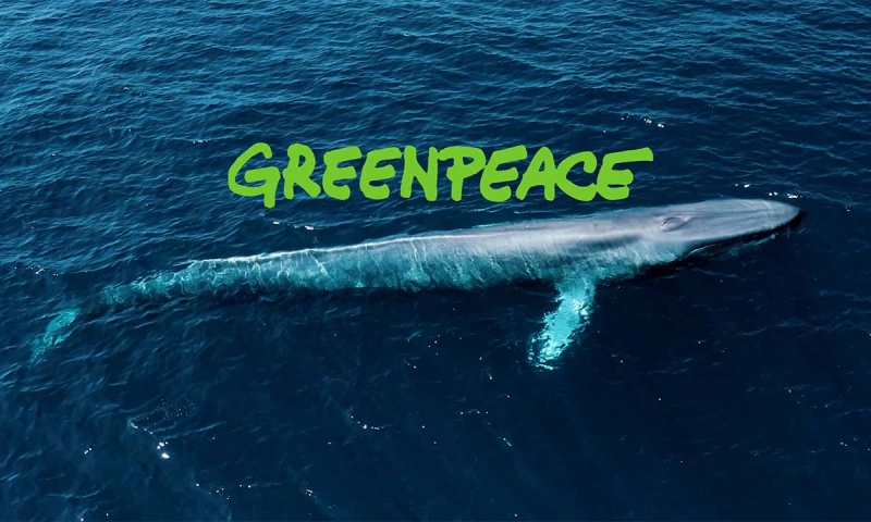 Framework Films - Blue Whales with Greenpeace