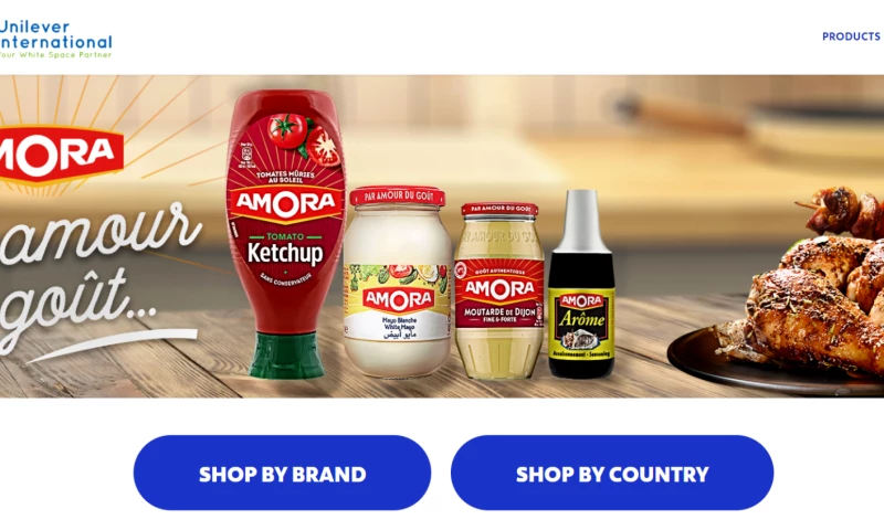 Website Design for UI Diaspora