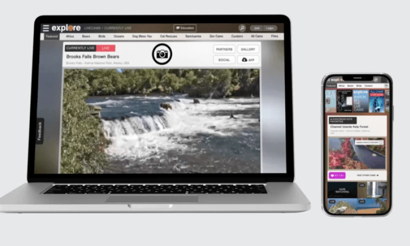 Reimagining of the entire explore.org ecosystem