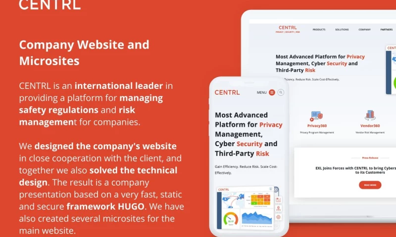 Company Website and Microsites