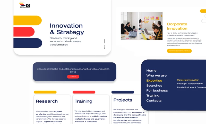 Mowgli - Innovation & Strategy