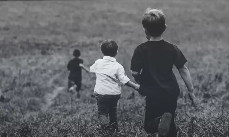 Lollypop Design Studio - Logistimo