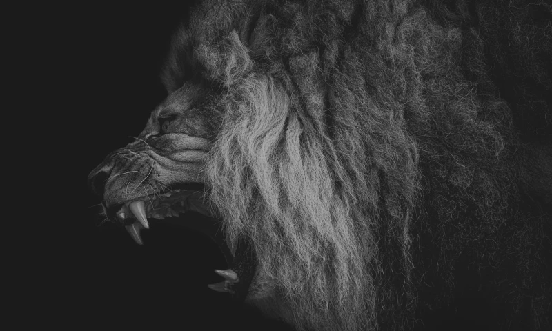 Search Geek Solutions - Fernandez Garcia - Morristown, Elizabeth NJ Local SEO