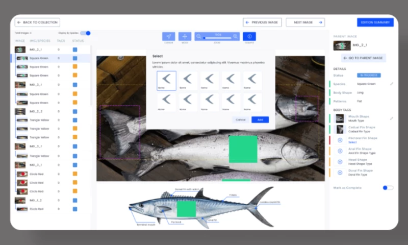 Fish recognition and classification platform
