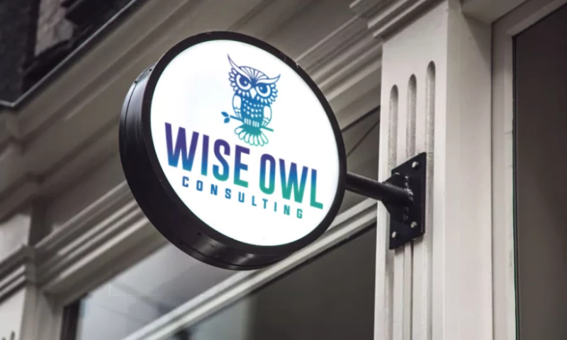 Wise Owl Consulting
