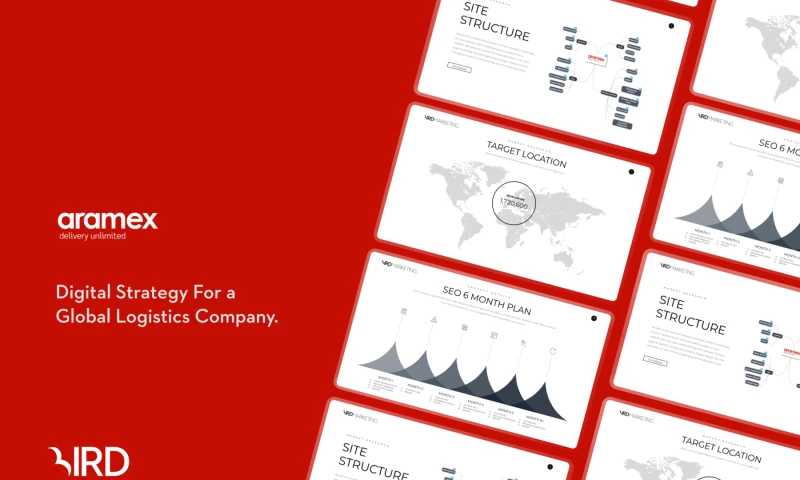 Digital Marketing for Global Delivery Company